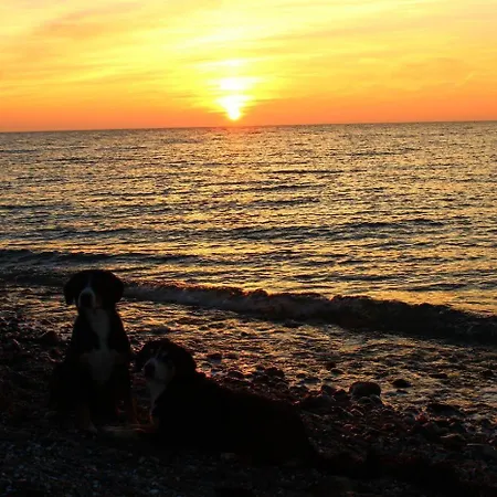 Διαμέρισμα Ferienwohnung-husheer *